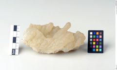 Foto von Quarz (Chalcedon) (NHMW-MIN-Ag528)
